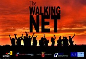 walking net